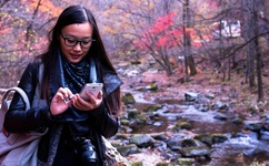 小儿难养演员表